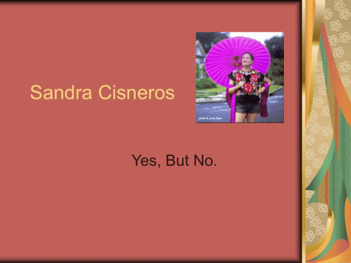 My name sandra cisneros pdf