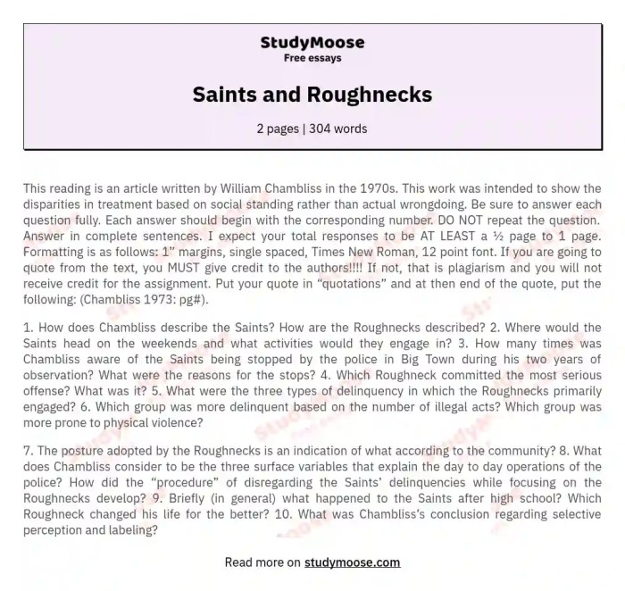 Saints and the roughnecks summary