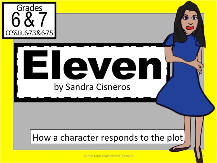 Eleven by sandra cisneros questions