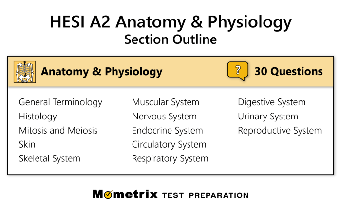 Hesi practice test for fundamentals