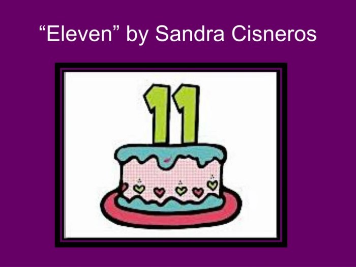 Eleven by sandra cisneros questions