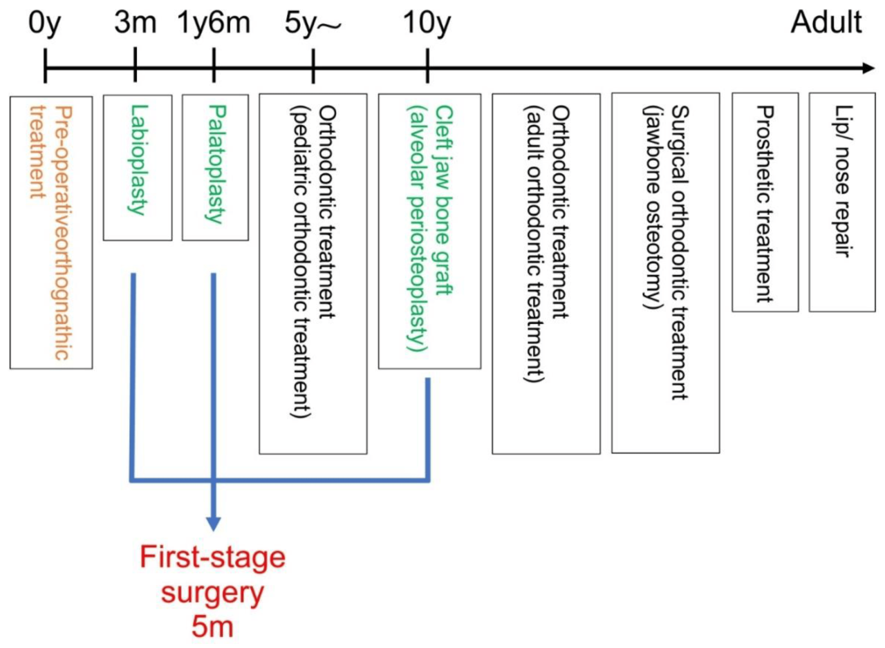 Cleft palate hesi case study