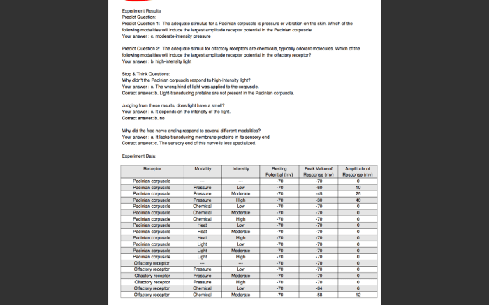 Physioex exercise 2 activity 4