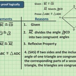 Quiz 2-4 segment and angle proofs