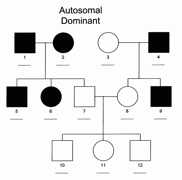 Pedigrees practice - human genetic disorders